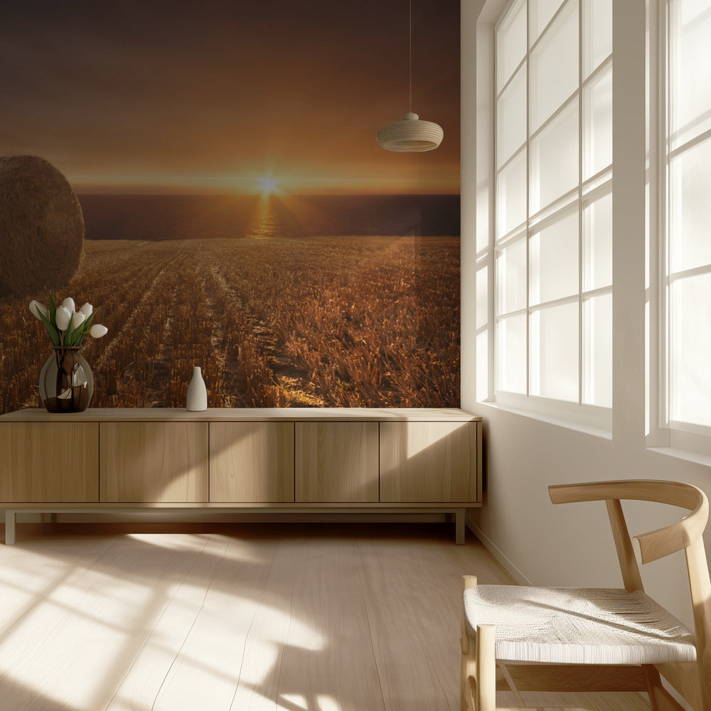 Cosecha de oro | Papel Pintado Fotográfico