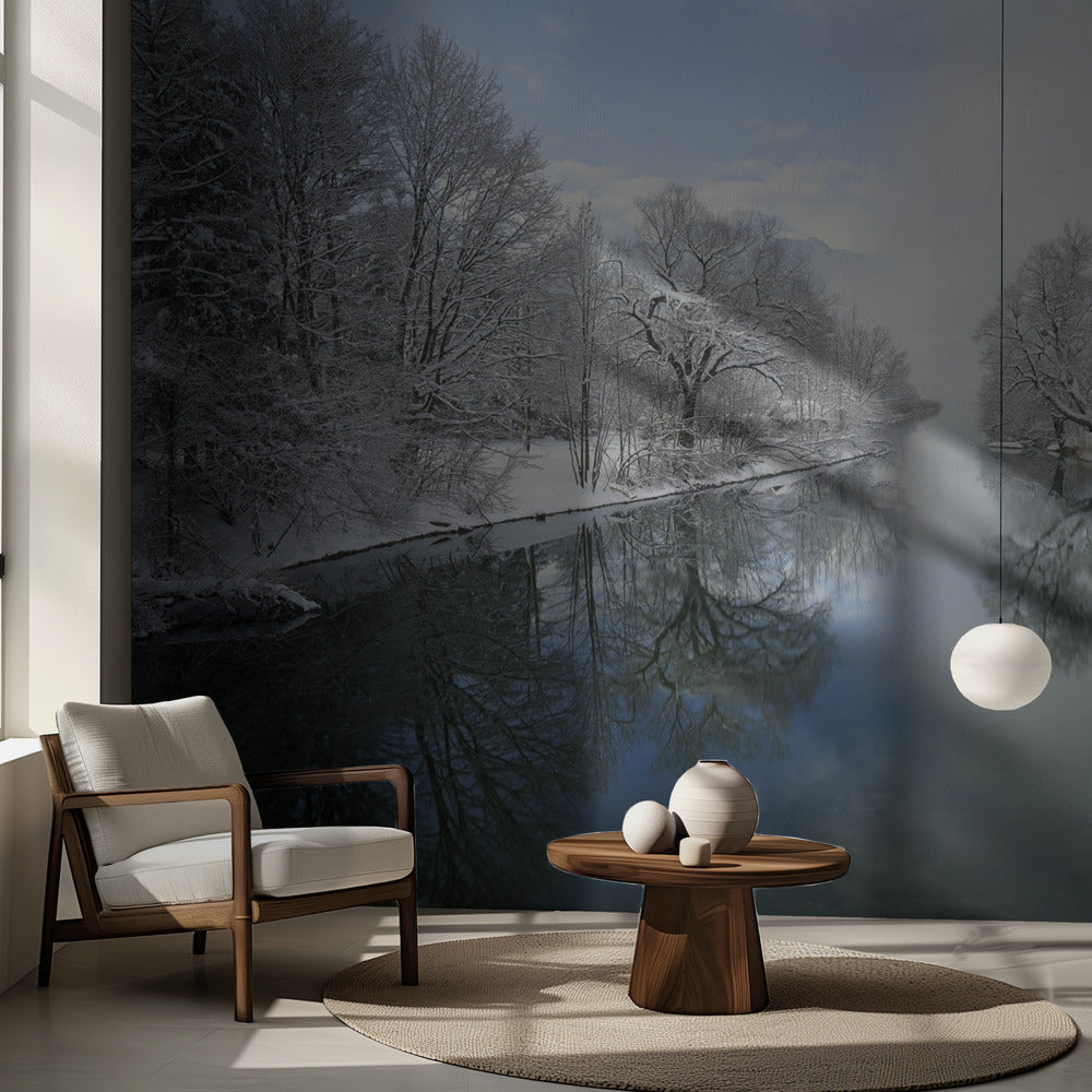 Vinter | Fototapeter
