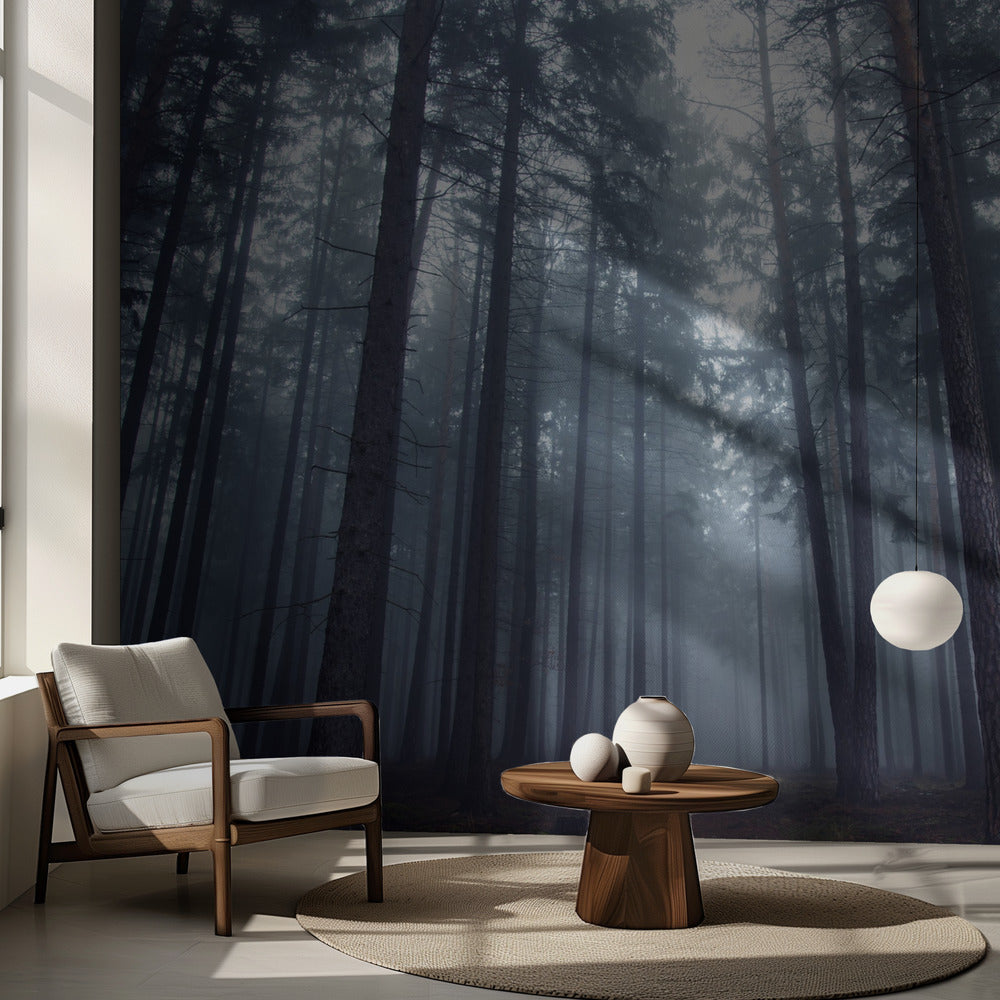 Mysterious foggy forest. | Wallpaper