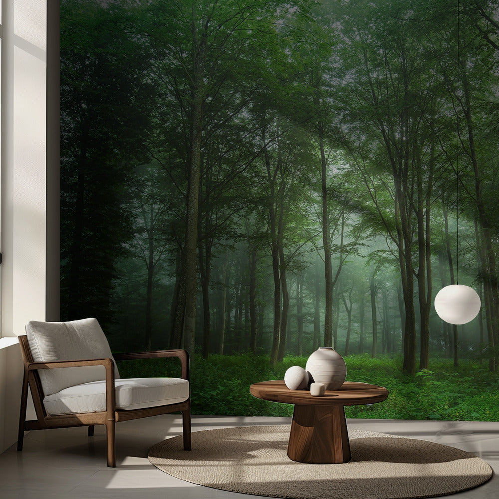 Forest View | Wallpaper
