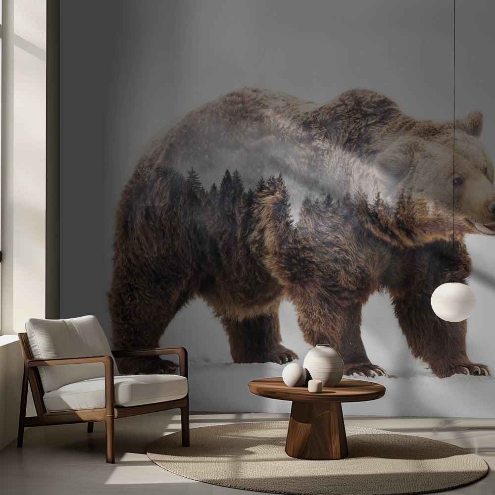 Orso | Carta da Parati Fotografica