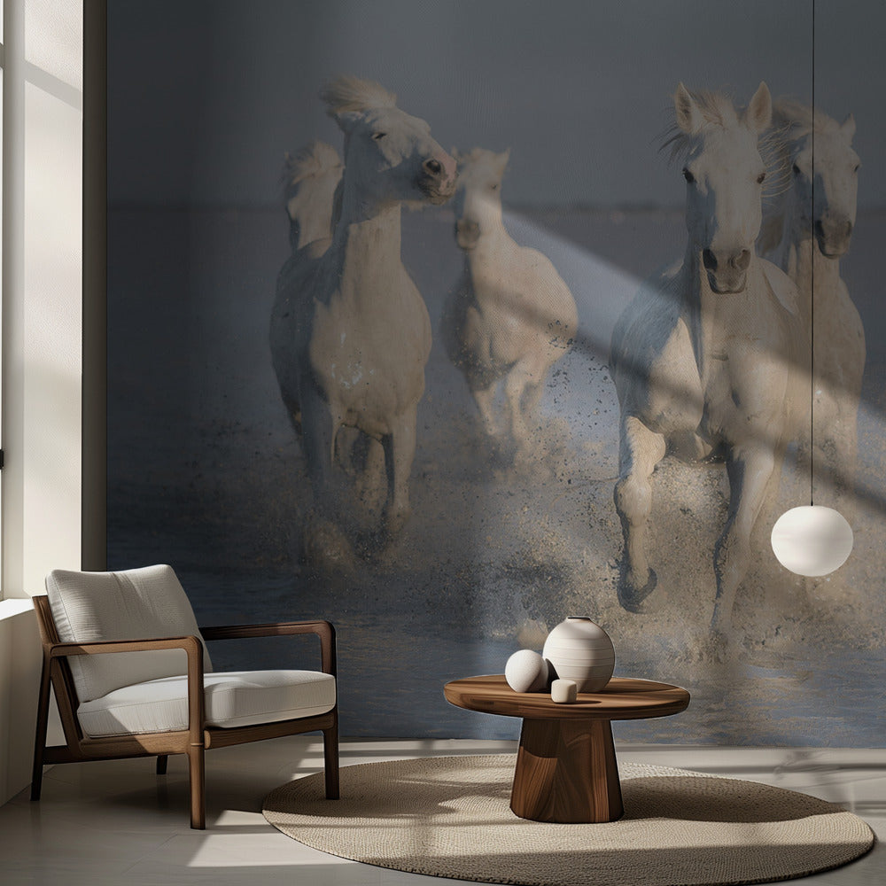 caballos | Papel Pintado Fotográfico