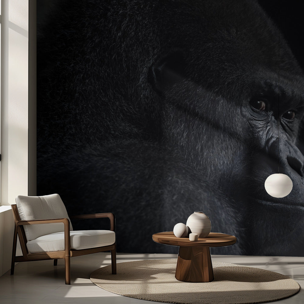 gorilla gaze | Wallpaper
