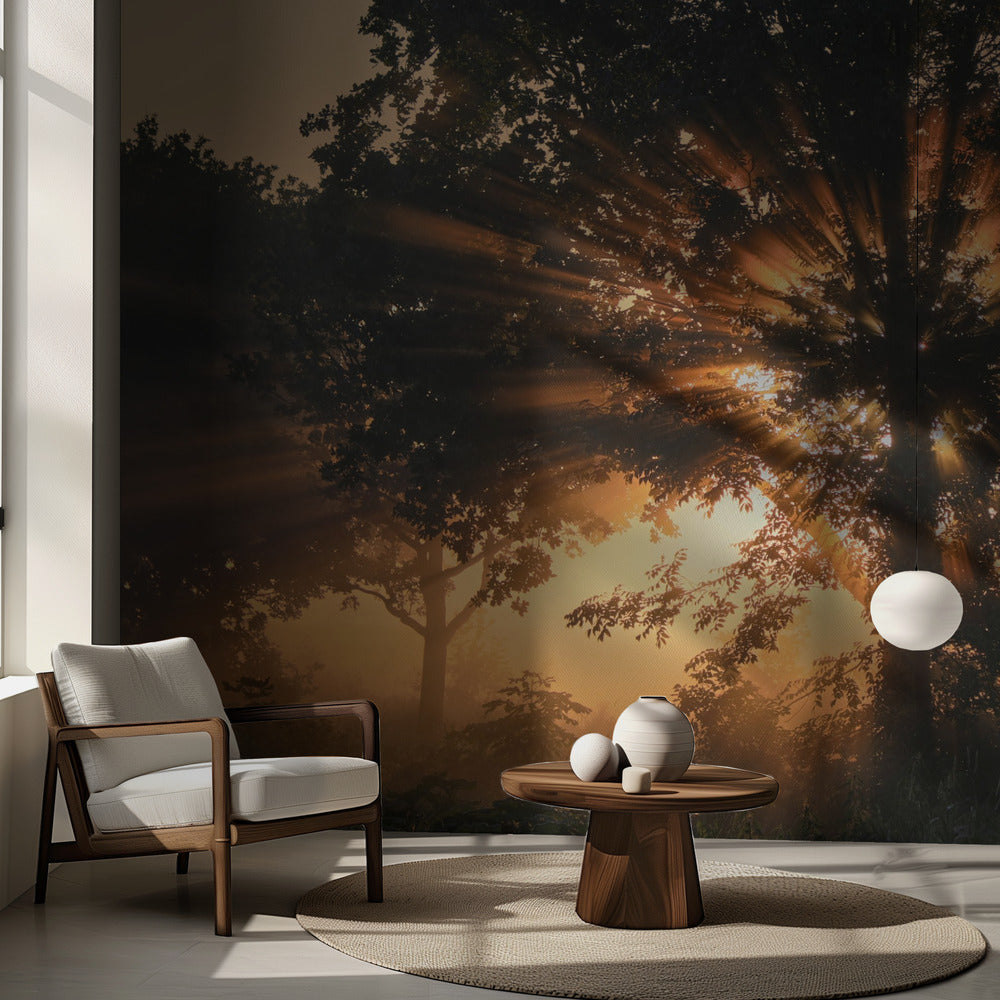 Arbre en feu | Papier Peint Photo