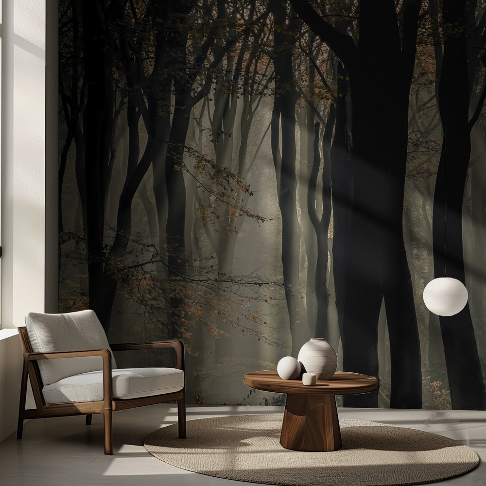 Speulderbos | Papier Peint Photo