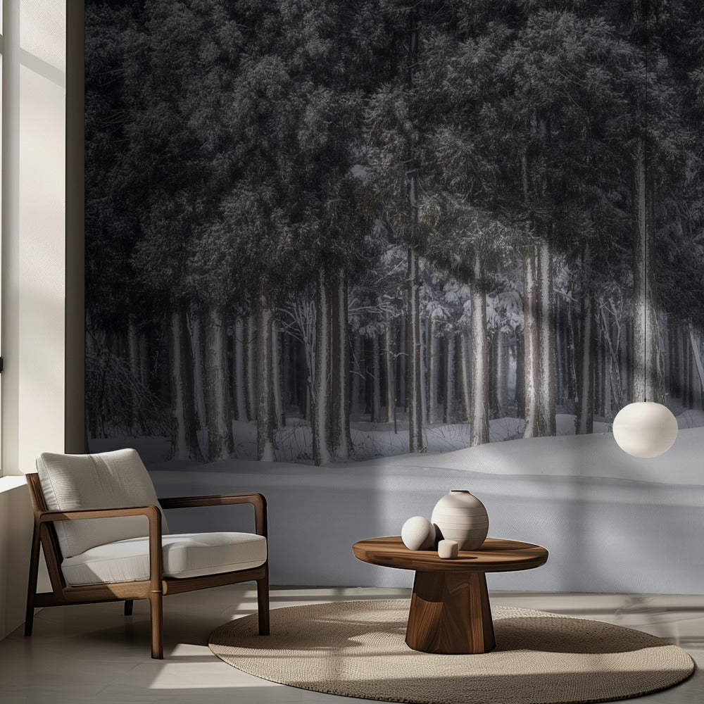 Une place dans un monde d'argent | Papier Peint Photo
