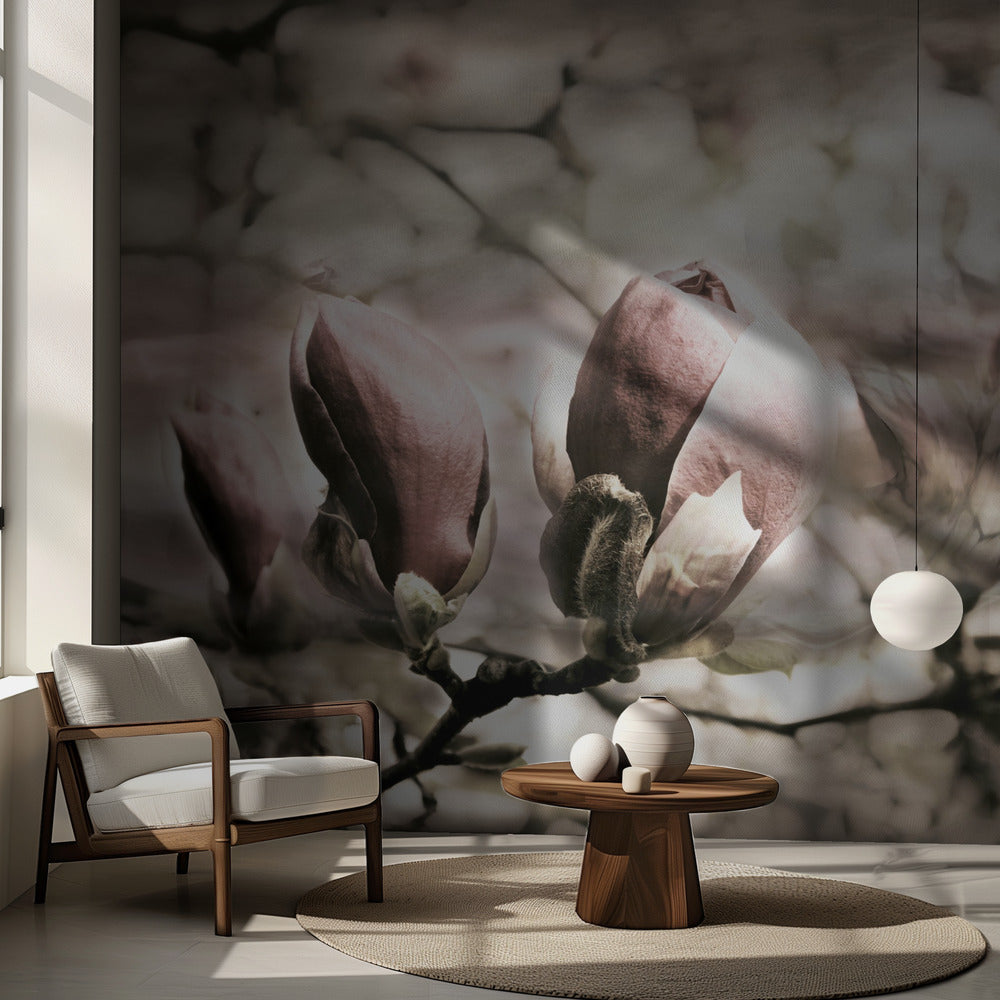 Magnolienfrühling | Fototapeten