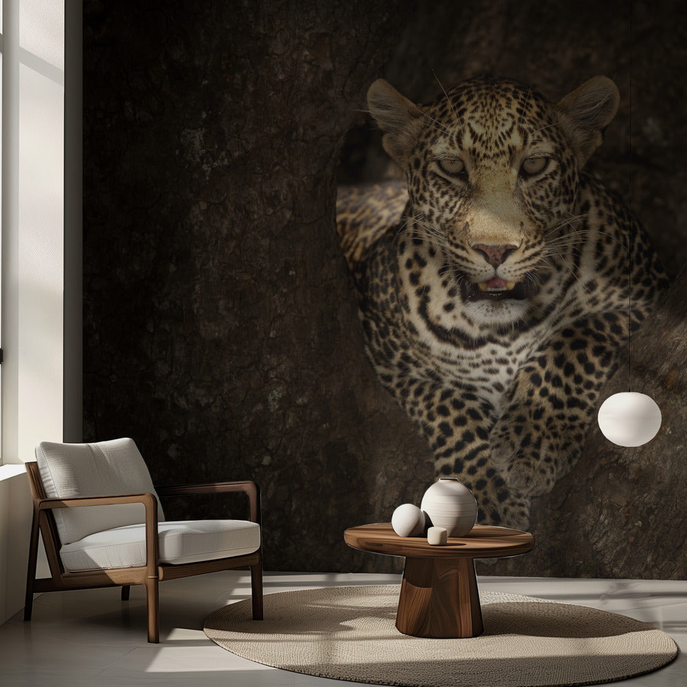 Leopardo descansando en un árbol en Masai Mara | Papel Pintado Fotográfico