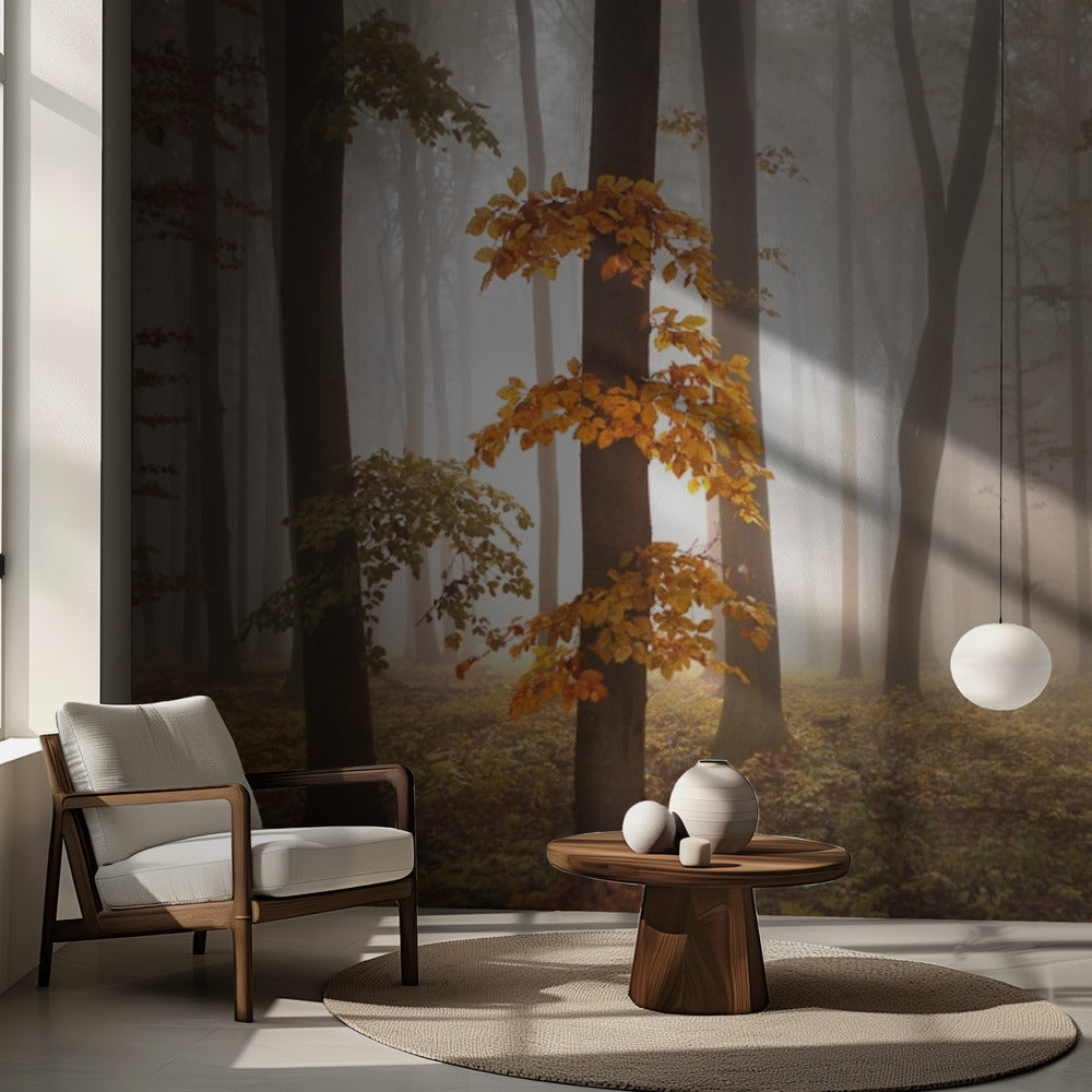 Im Novemberlicht | Fototapeten