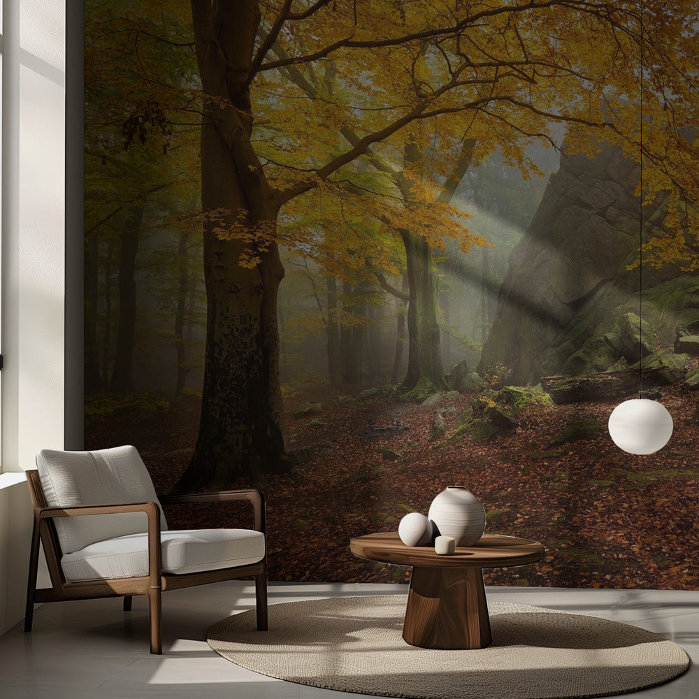 Herbstwald | Fototapeten