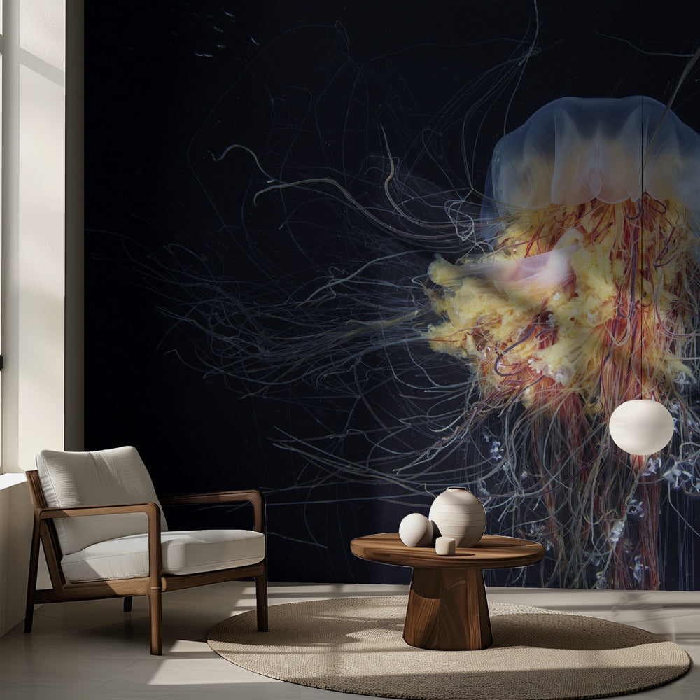 Giant Lion's Mane | Wallpaper