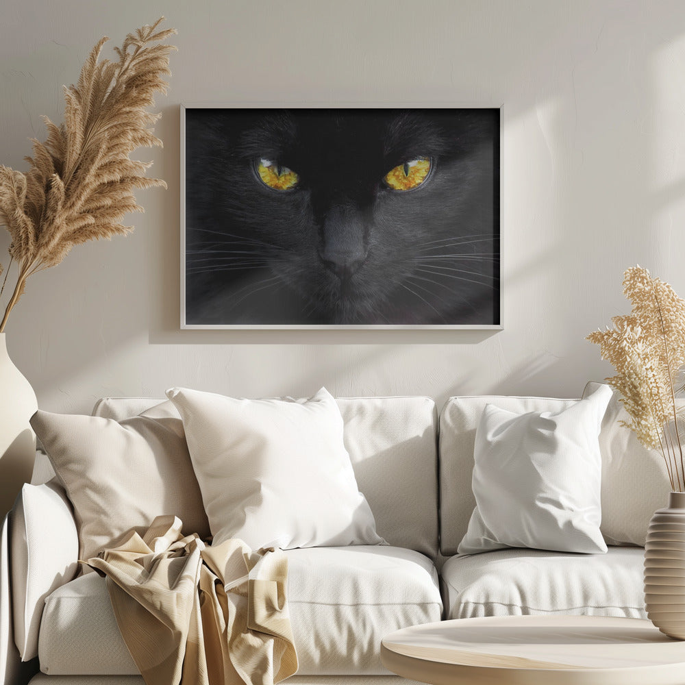 Nattens hypnotisör | Poster