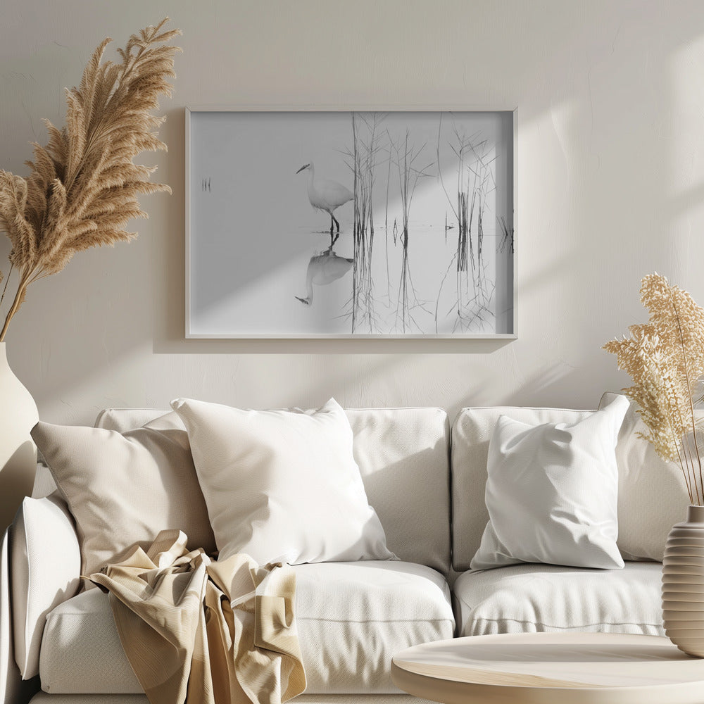 blanco | Posters - Impresiones de Arte