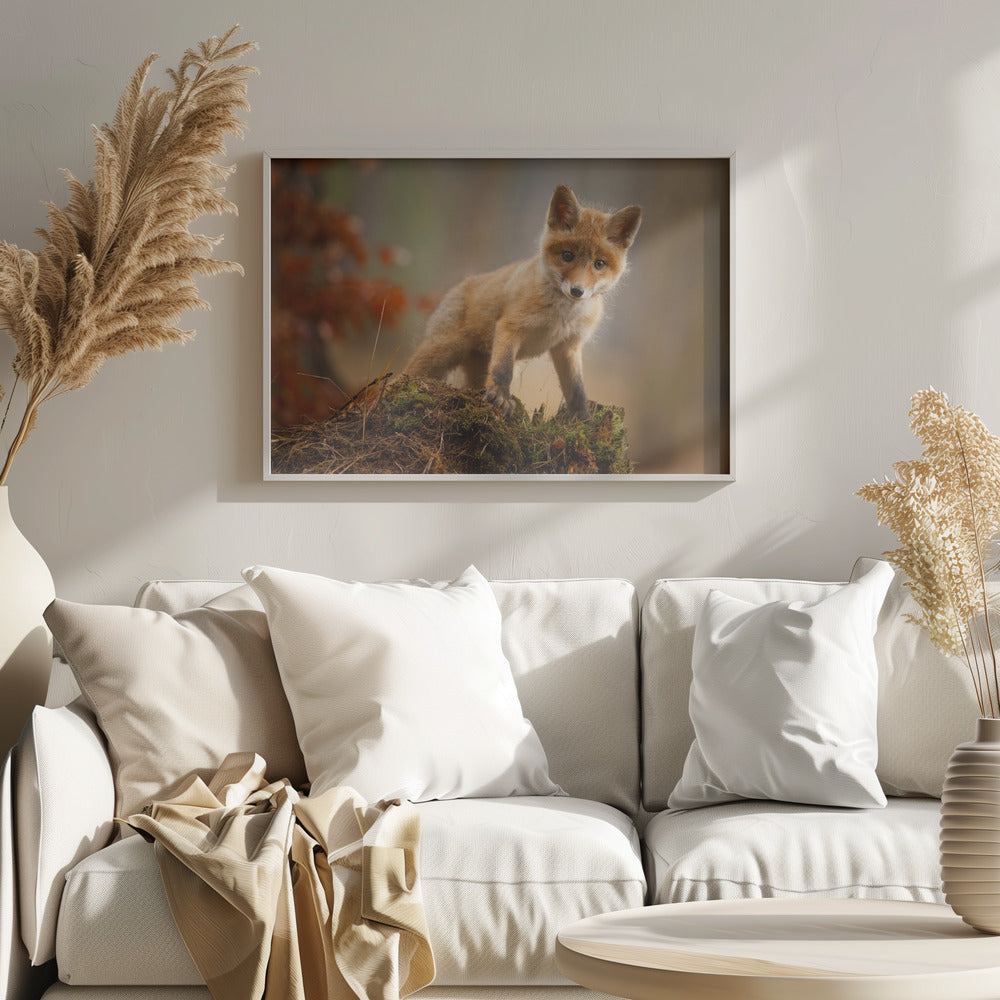 Zorro | Posters - Impresiones de Arte