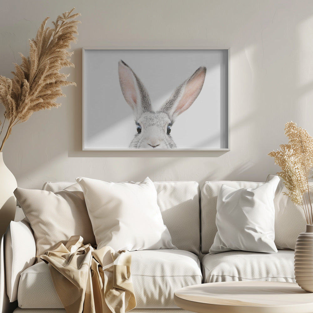 Peeking Bunny | Poster