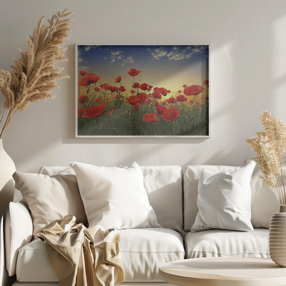 Mohnblumen | Poster - Kunstdruck