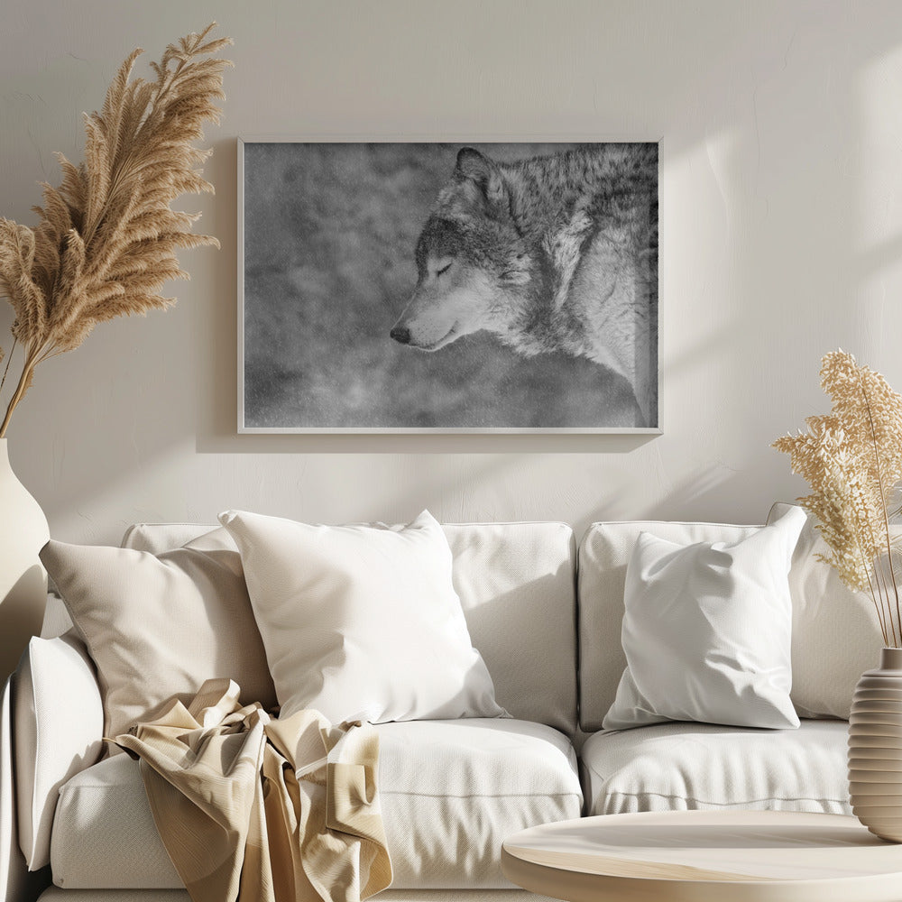 Lascia che nevichi | Poster - Stampe d’Arte