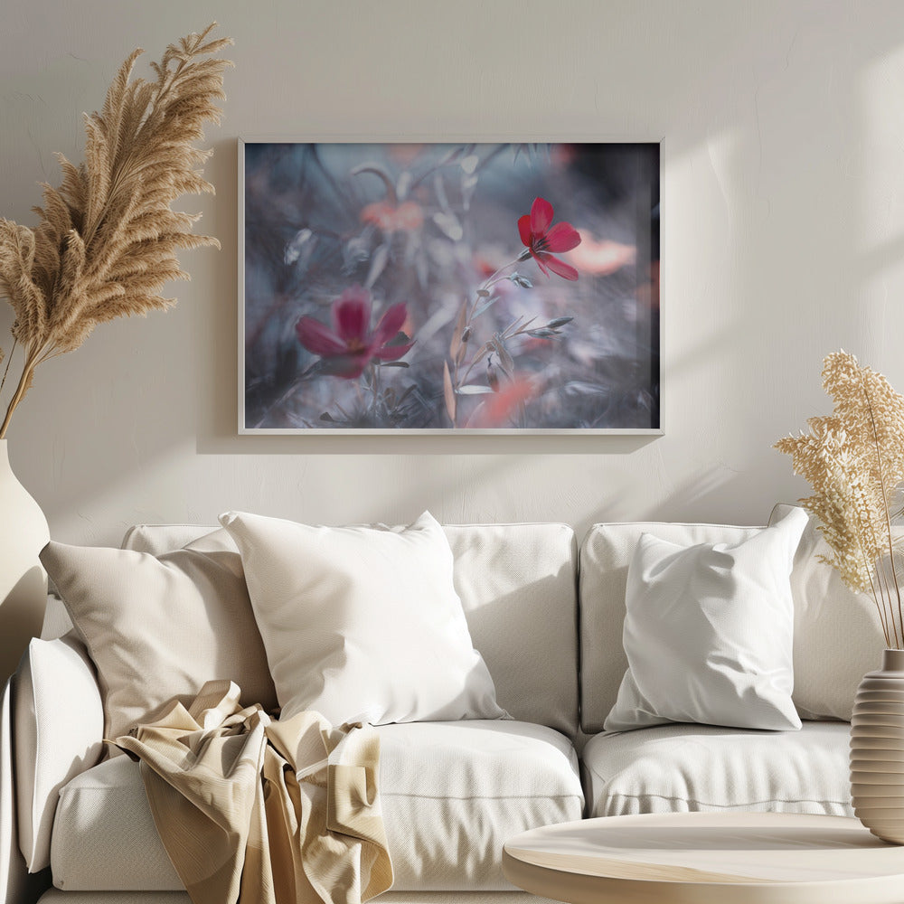 Une Fleur, une Histoire | Posters - Affiche Artistique