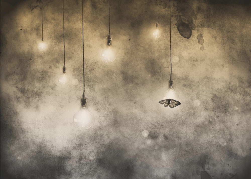 attraction | Papier Peint Photo