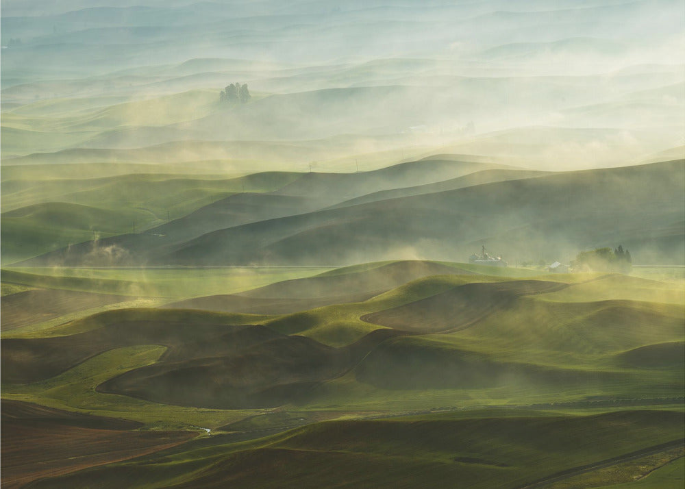 Mañana dorada-Palouse | Papel Pintado Fotográfico