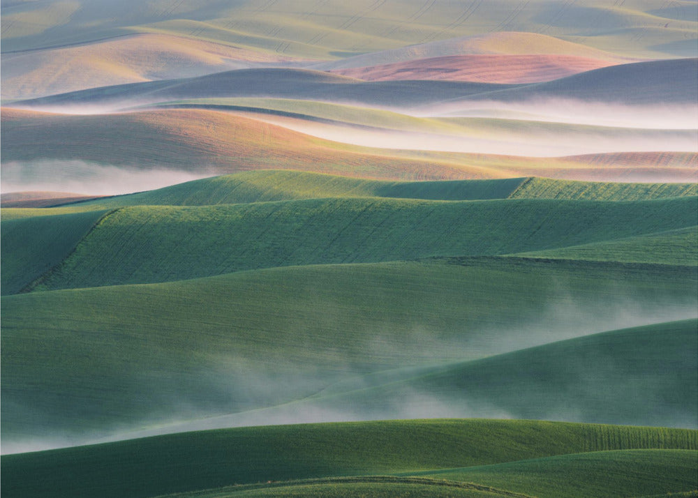 Foggy Morning | Wallpaper