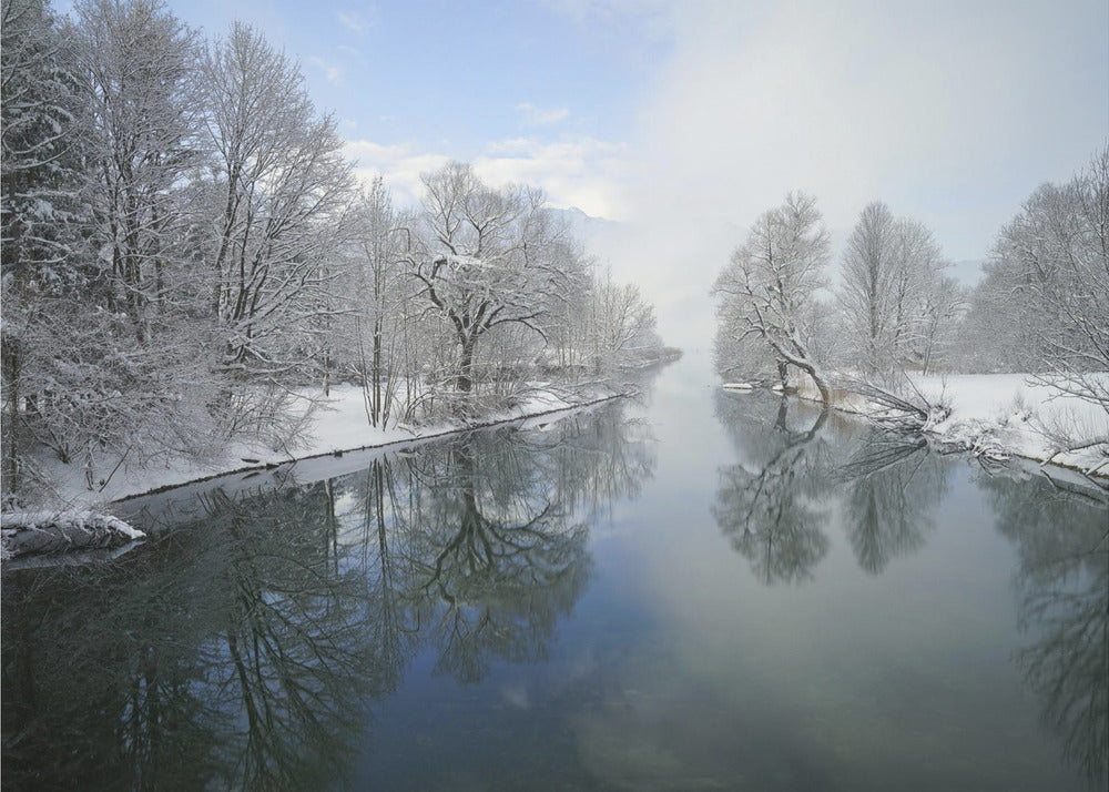 Vinter | Fototapeter