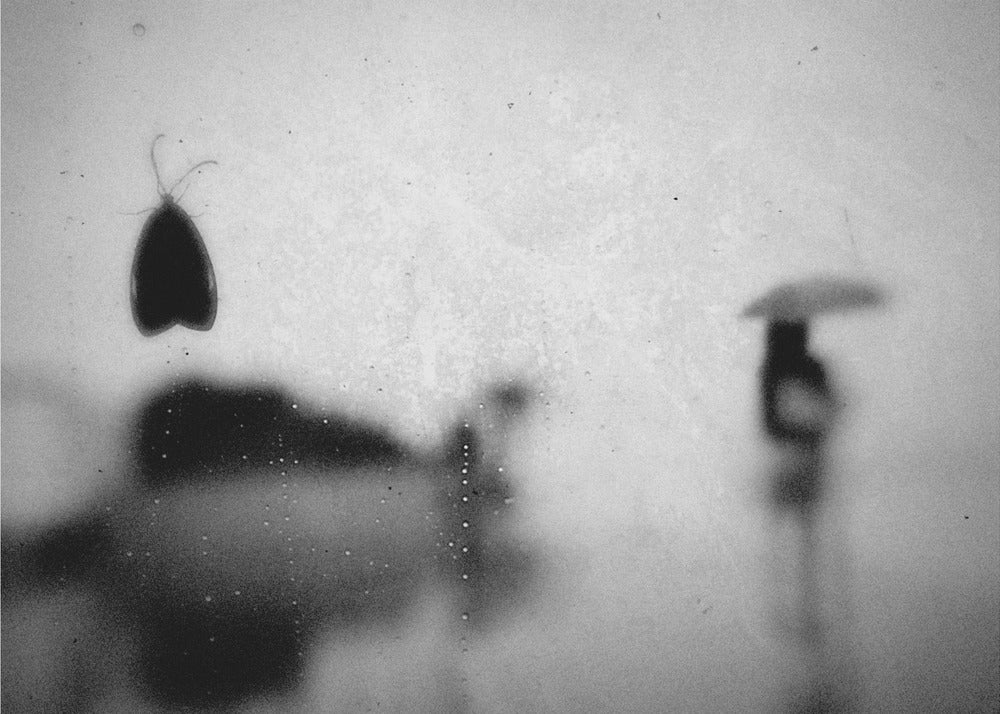 Ohne Titel | Leinwand-Bilder