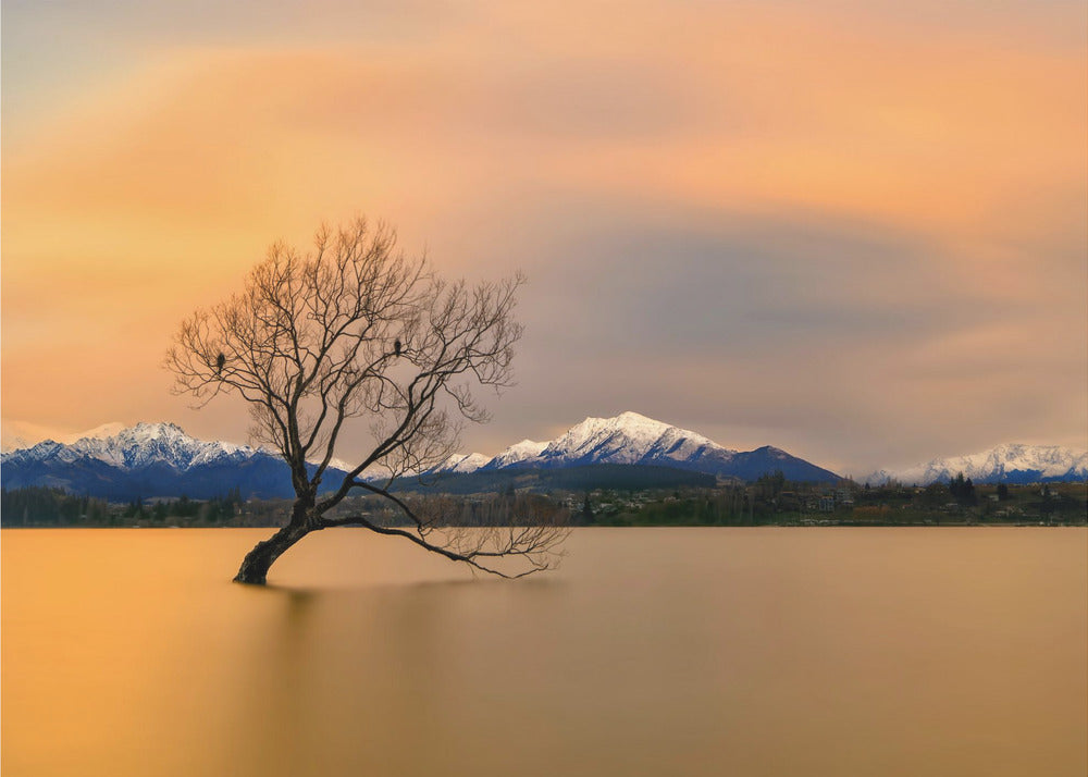 Bagliore mattutino sul lago Wanaka | Carta da Parati Fotografica
