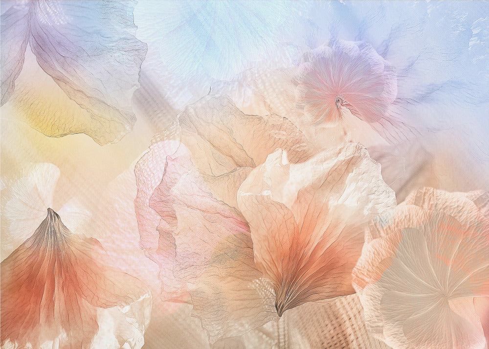 Fiori eterei | Carta da Parati Fotografica