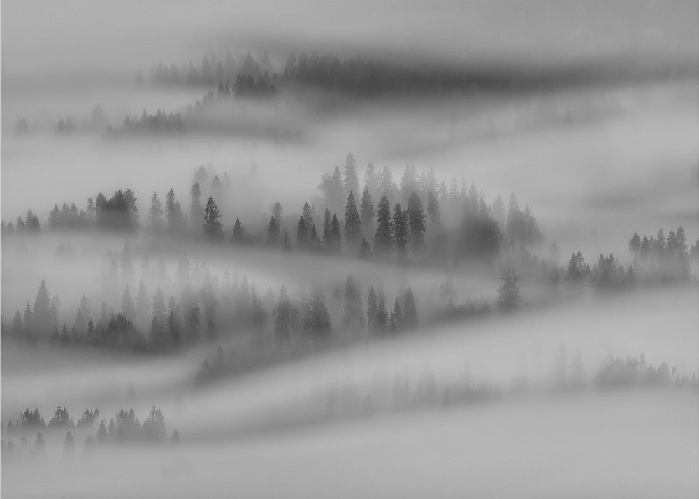 Impressions d'automne | Papier Peint Photo