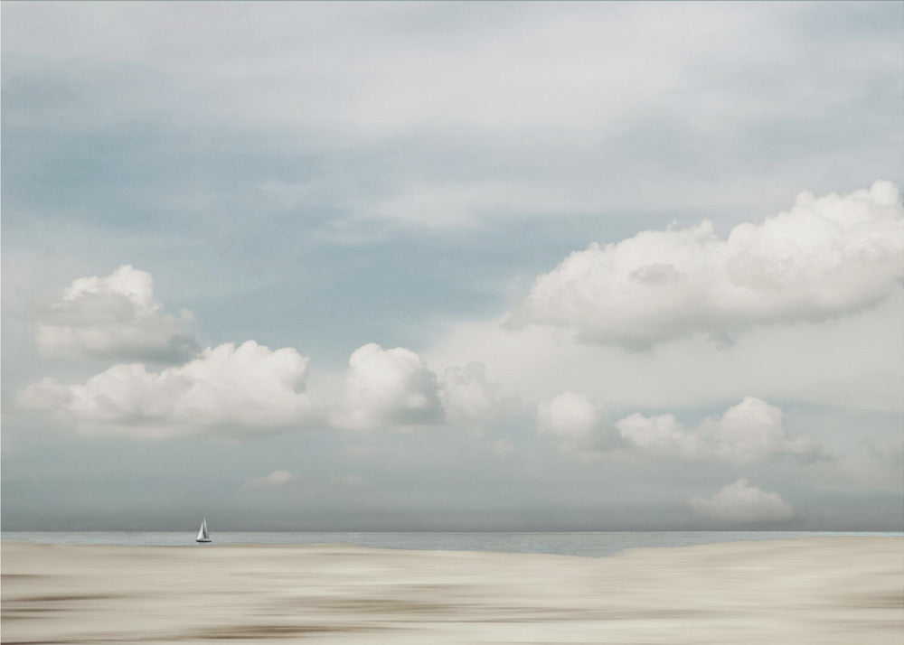 Tracking the coastline | Canvas
