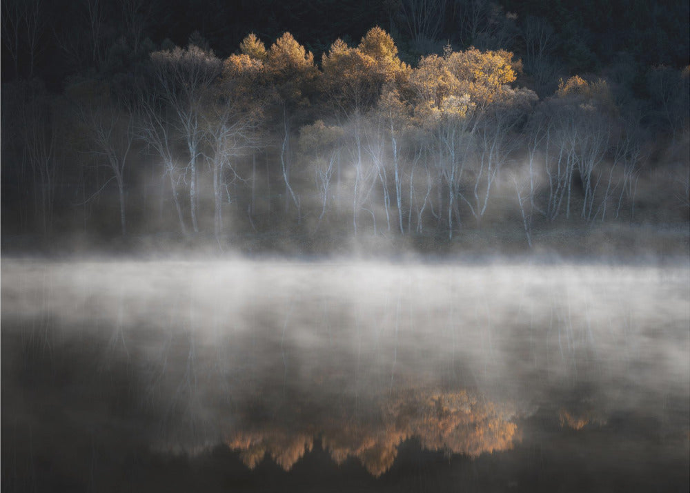 Attirés par la lumière de la fin de l'automne | Papier Peint Photo
