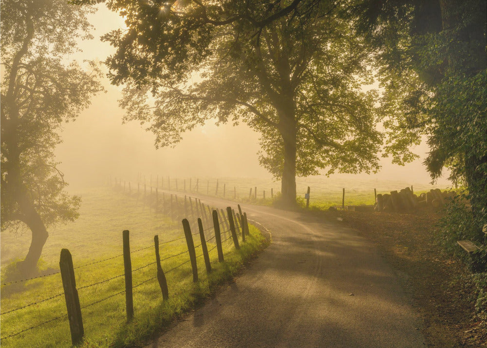 Promenade matinale | Papier Peint Photo