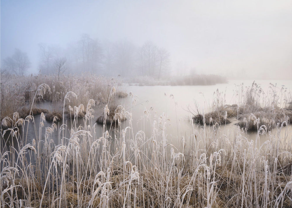 L'hiver en Bavière | Papier Peint Photo