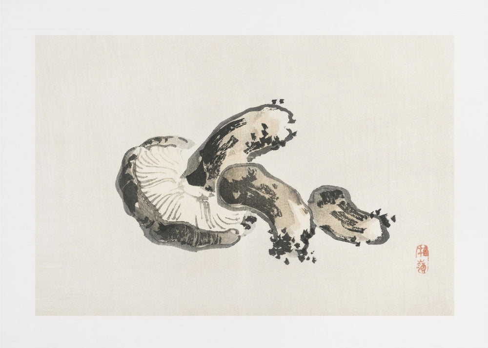 Hongo shiitake | Impresiones en Lienzo