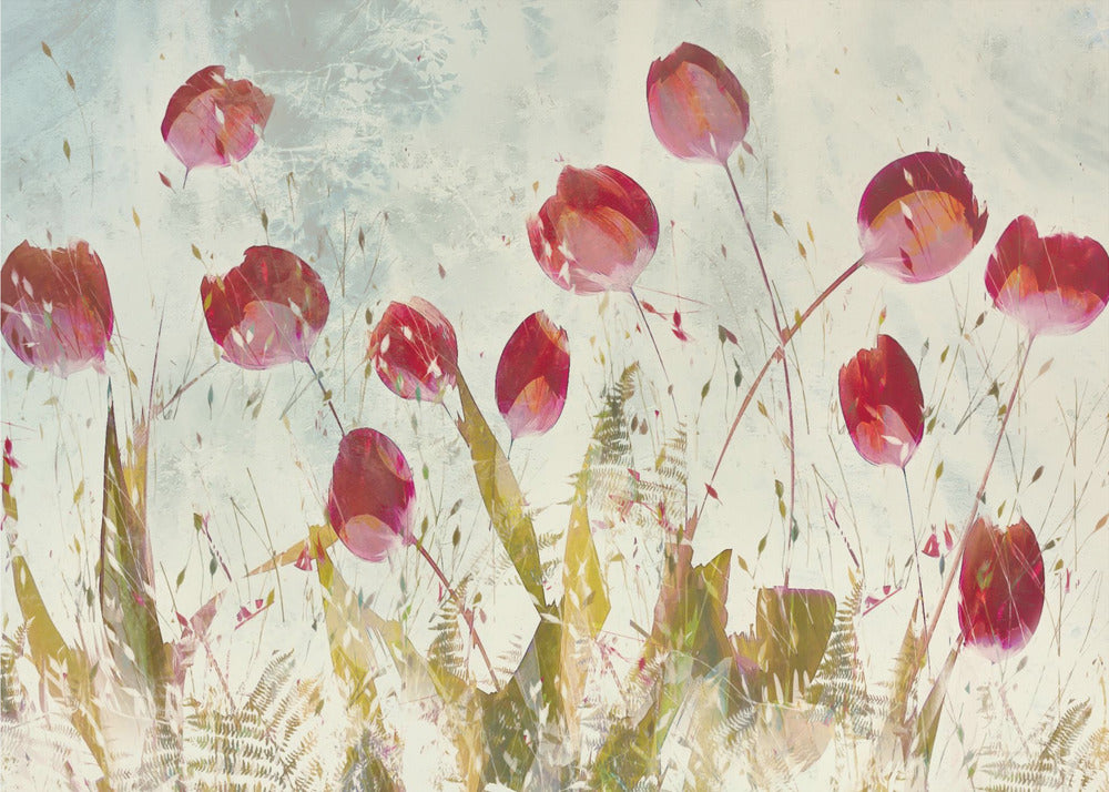 Fröhliche Tulpen | Fototapeten