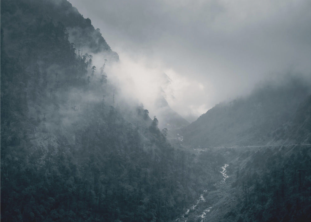 Le drame de la nature ! | Papier Peint Photo