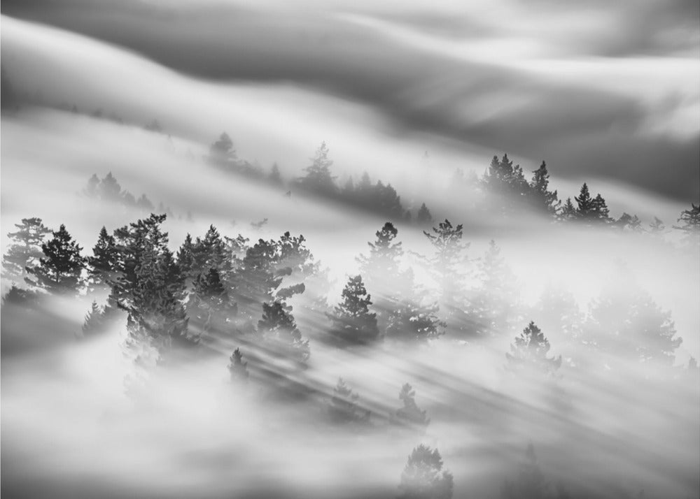 Sans titre | Papier Peint Photo