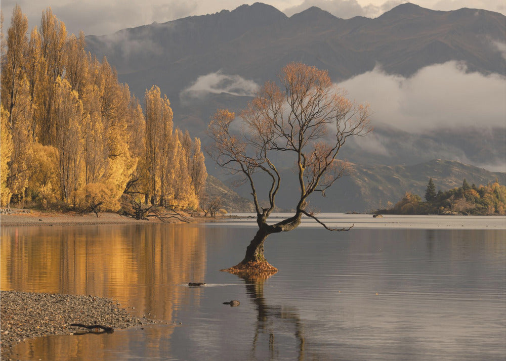 Efterår i Wanaka | Fototapeter