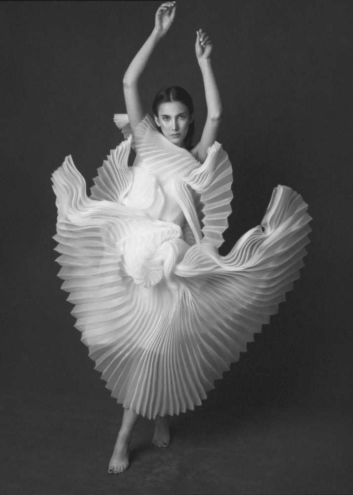 Swan Lake | Canvas