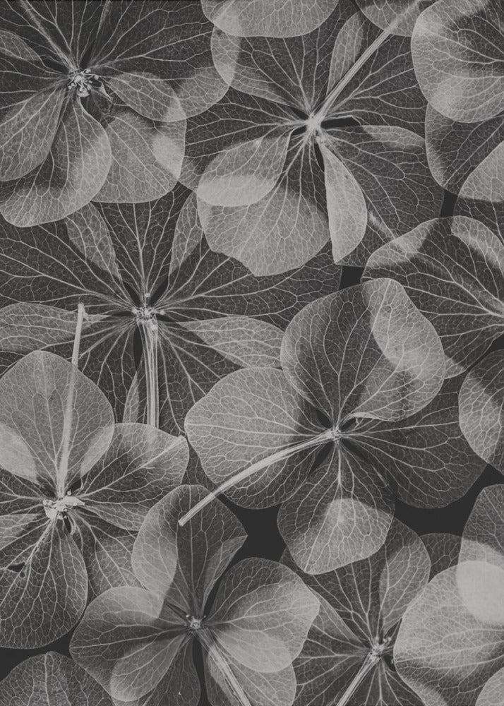 Botanisch #48 | Canvasprints