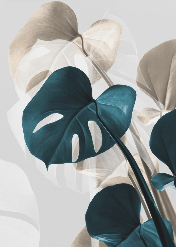 Monstera Creativa 10 | Impresiones en Lienzo