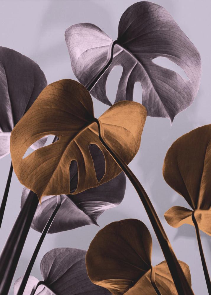 Monstera Purple 01 | Canvastaulut