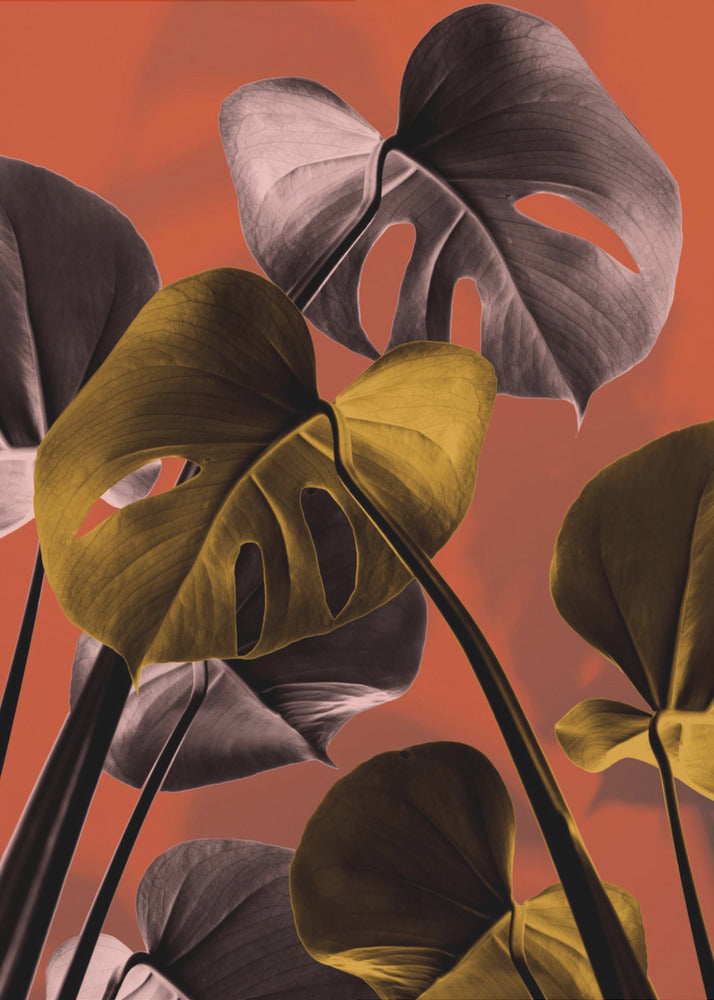 Monstera Naranja 01 | Impresiones en Lienzo