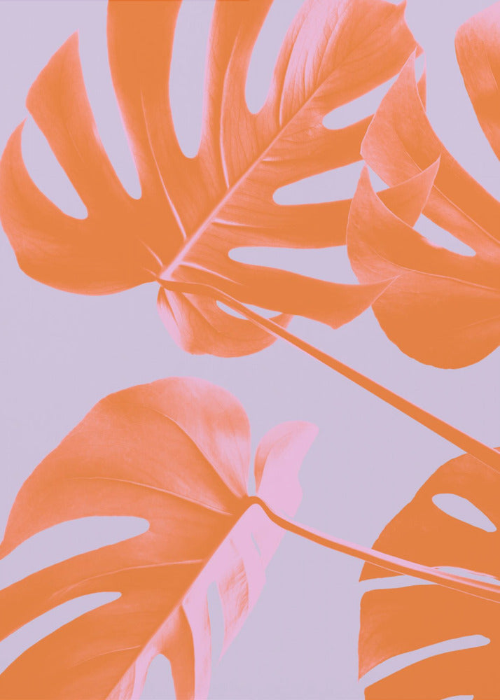 Monstera Purple 04 | Canvastaulut