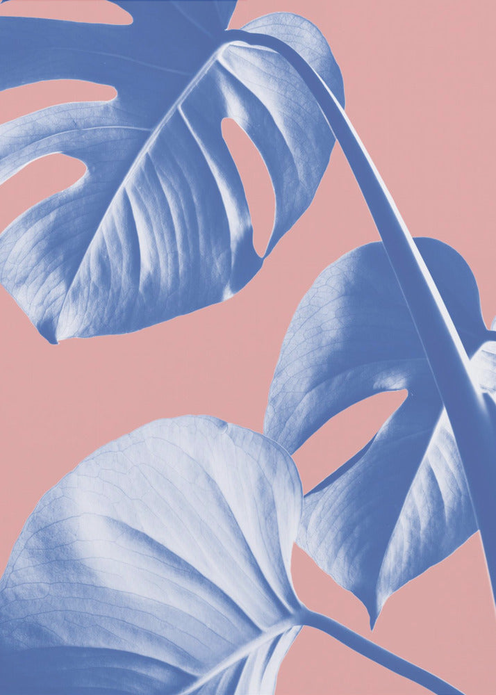 Monstera Purple 05 | Canvastaulut