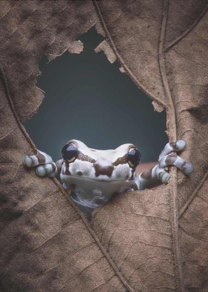 Hallo... | Canvasprints
