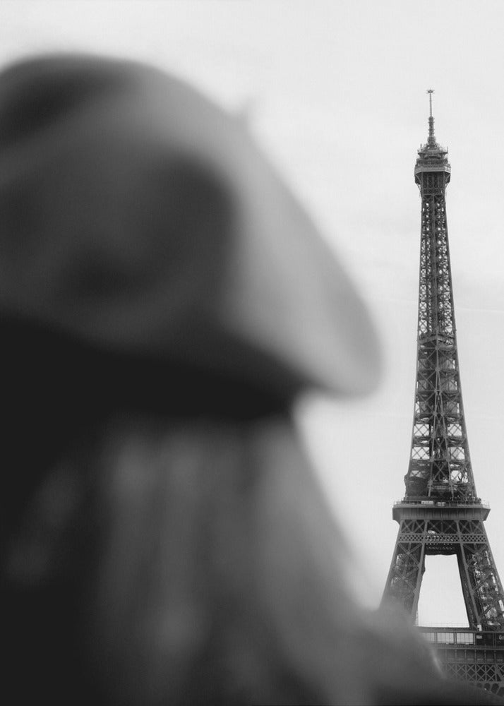 Eiffelturm – Tour Eiffel | Leinwand-Bilder