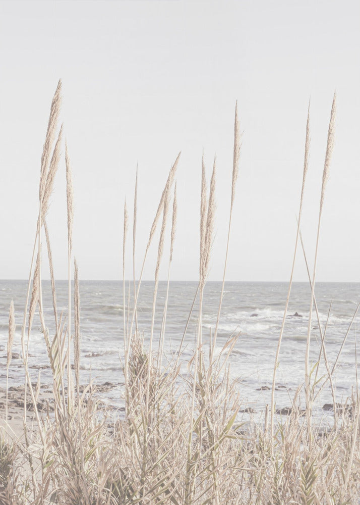 Plage_Vass_001 | Tableaux sur Toile