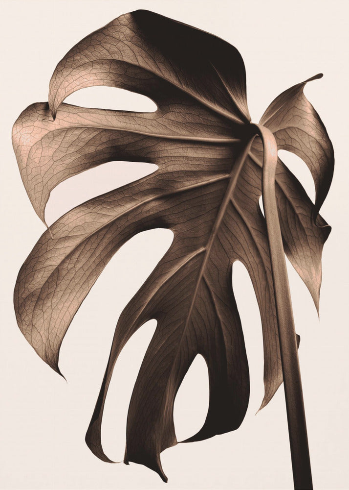 Monstera Gold | Leinwand-Bilder